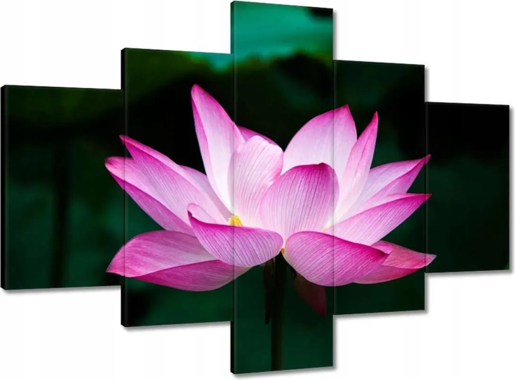 Vászonkép 100x70 Lótuszvirág