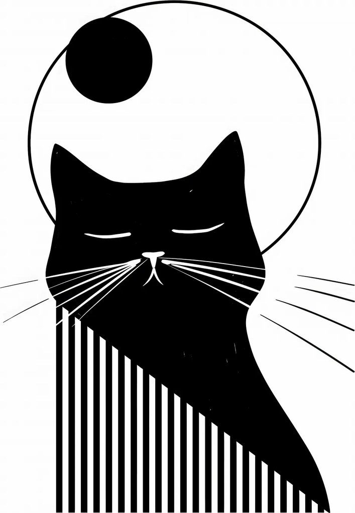 Poszter 56,6x86,4cm Éjszakai vibráló doromboló