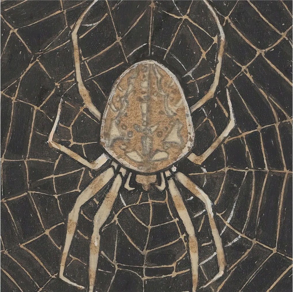 Fotótapéta Dekoratív Fali Tapéta Pókháló 250x250