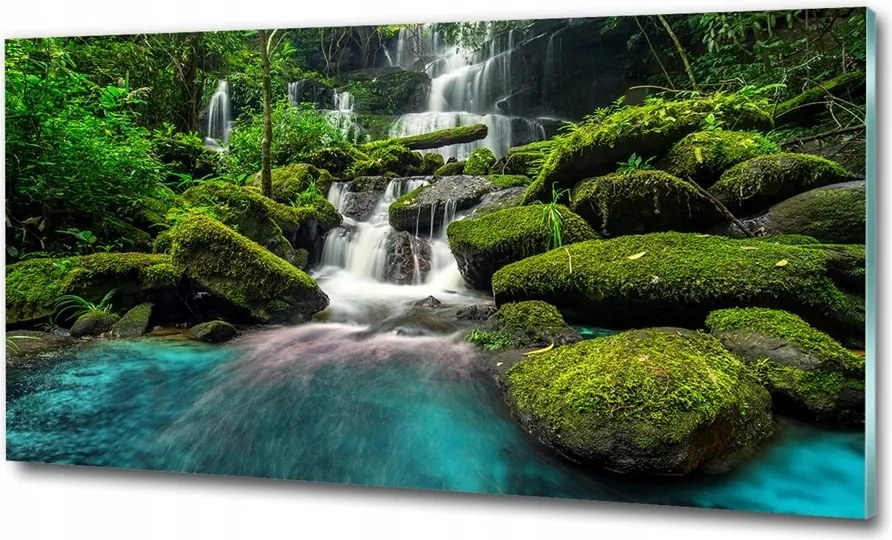 Fotó kép edzett üveg Köd az erdőben 125x50