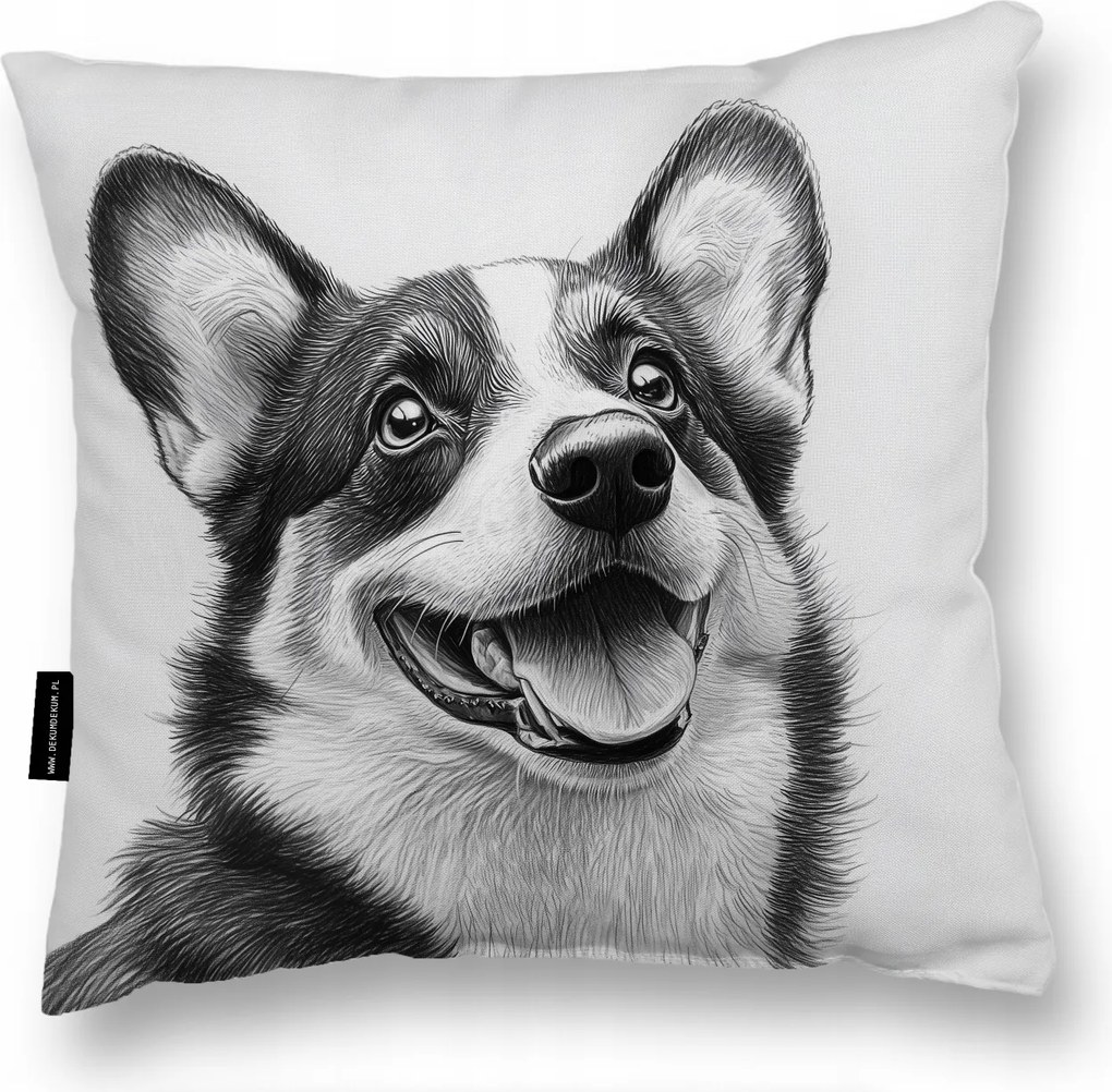 Corgi corgim Kutyapárna 40x40 alvás puha Ajándék nagy kétoldalas Bw