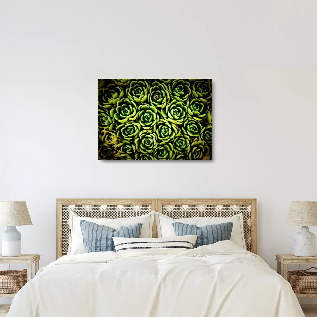 Sziklák képe (üvegen) (70x50 cm)