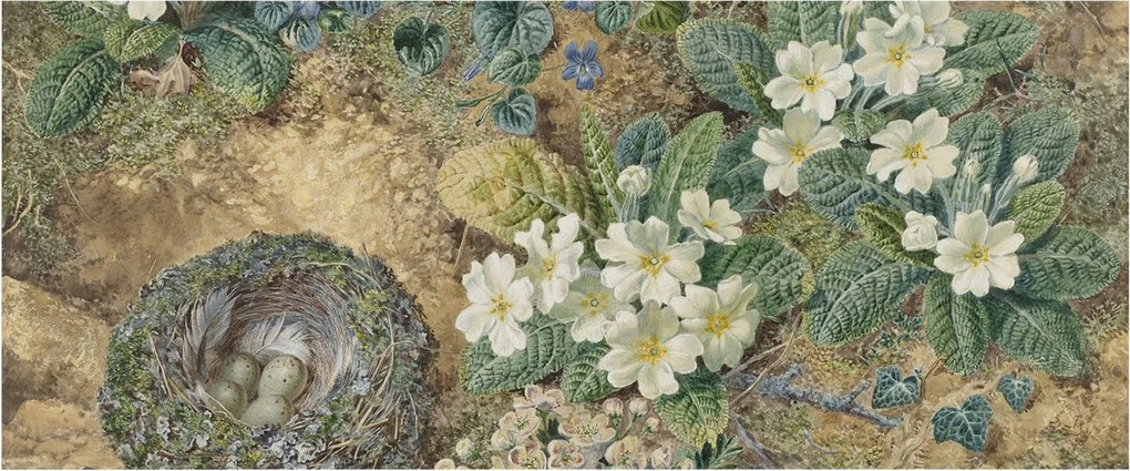 Divatos 3D Fali Tapéta Tavaszi kompozíció 250x104 Ragasztóval