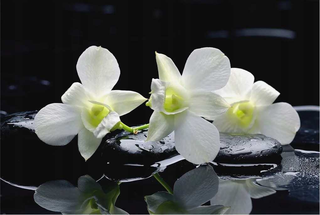 Flizelin tapéta Divatos 3D fali ragasztó Virágok kövek 104x70 Ragasztó