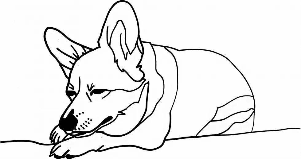 Poszter 61x90,5cm Alvó Corgacz