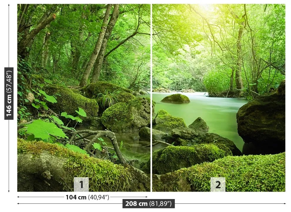 Fotótapéta River erdő 104x70 cm