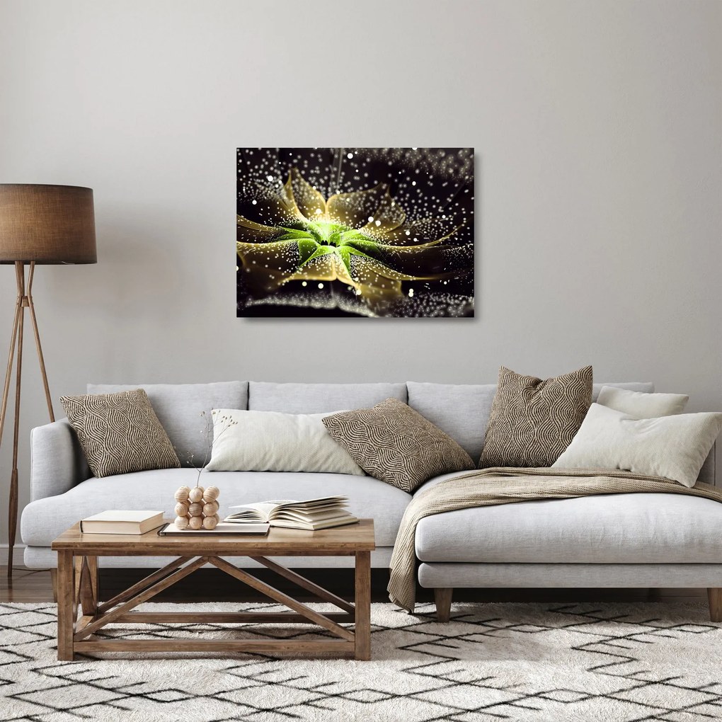 Kép - virág részlete (üvegen) (70x50 cm)