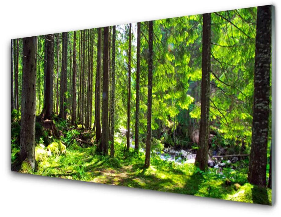 Akril üveg kép Nature Plant Erdei fák 140x70 cm