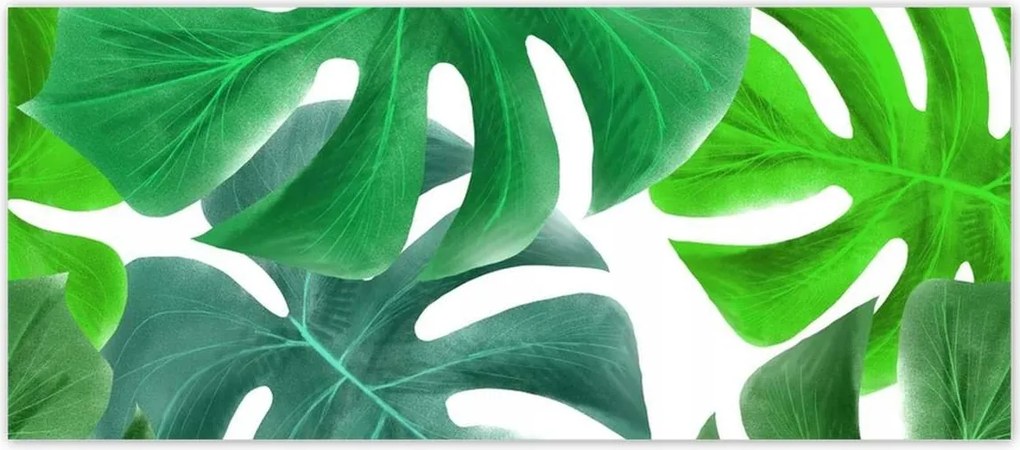 Fotótapéták 211x91 Levelek Monstery Trópusok