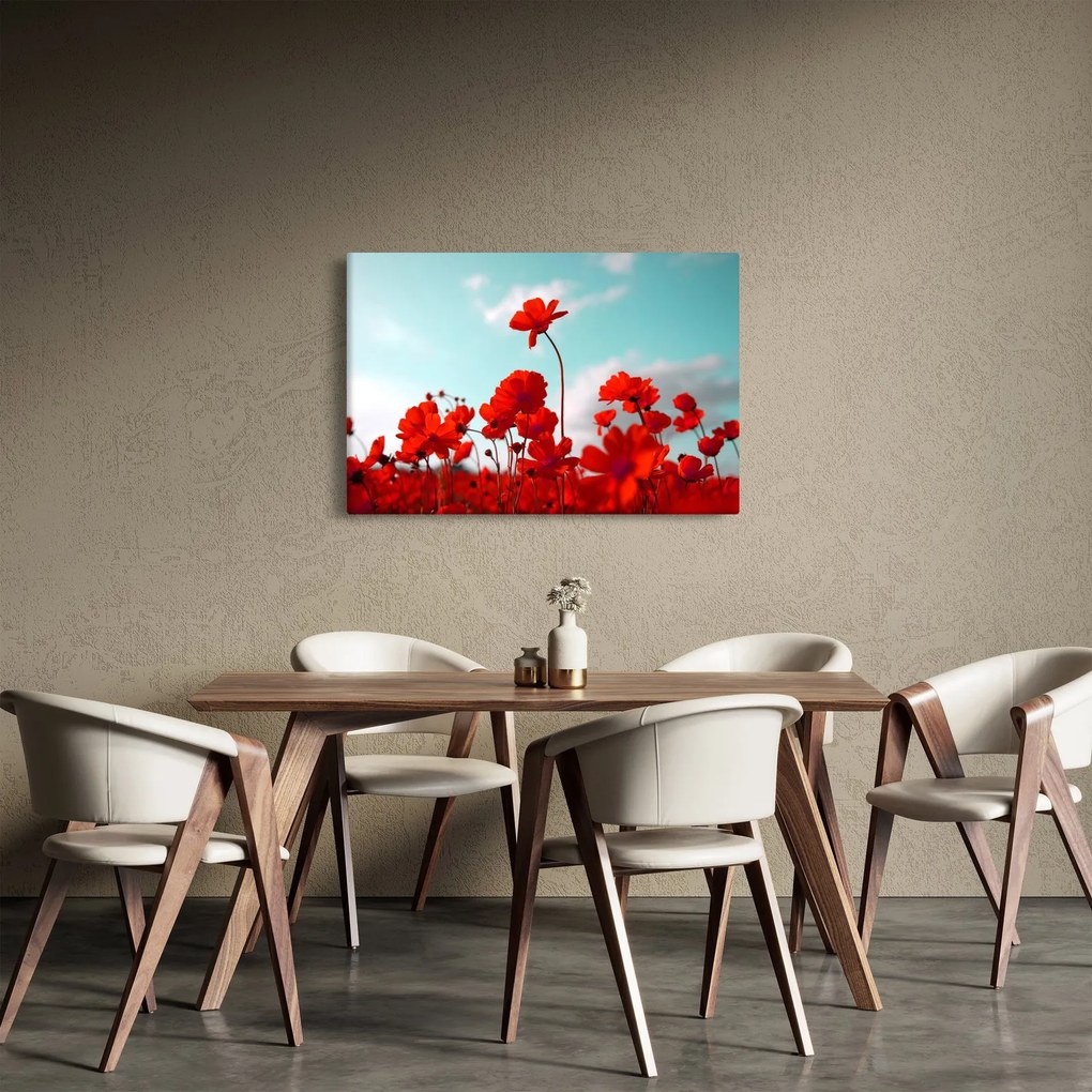 Fényes piros virágokkal rendelkező mező képe (90x60 cm)