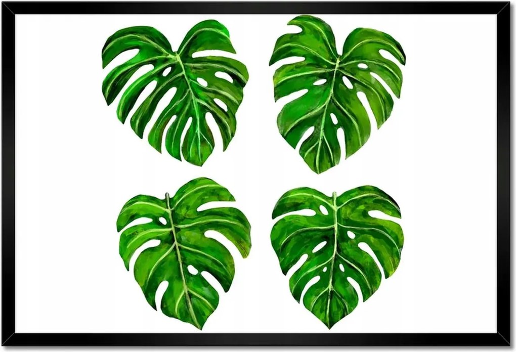 Poszter keretben 60x40 Lyukas monsera levelek