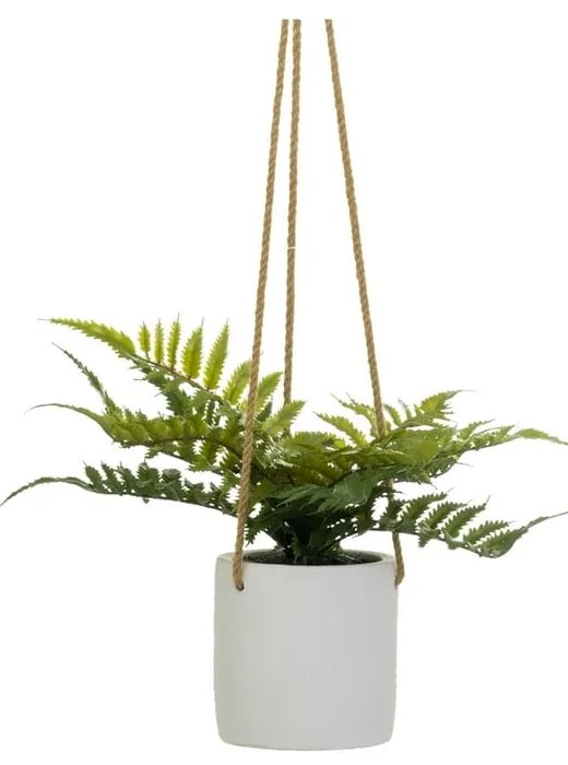 Műnövény (magasság 24 cm) – Casa Selección