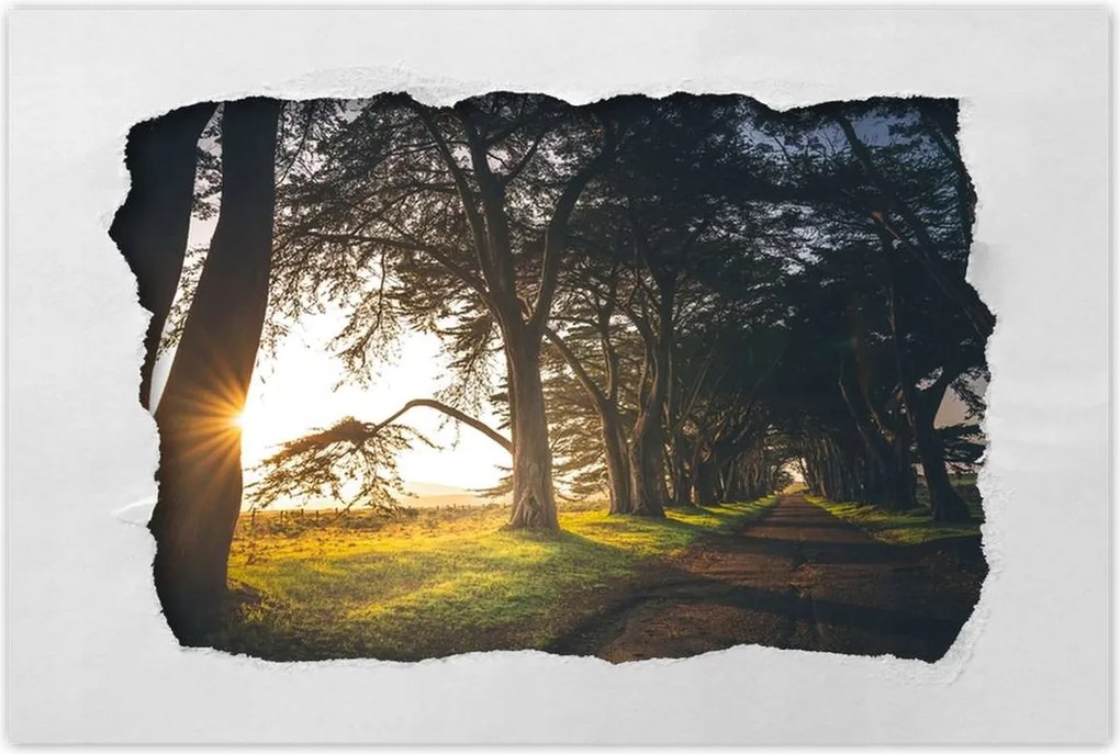 Poszterek 120x80 Tájkép Látvány