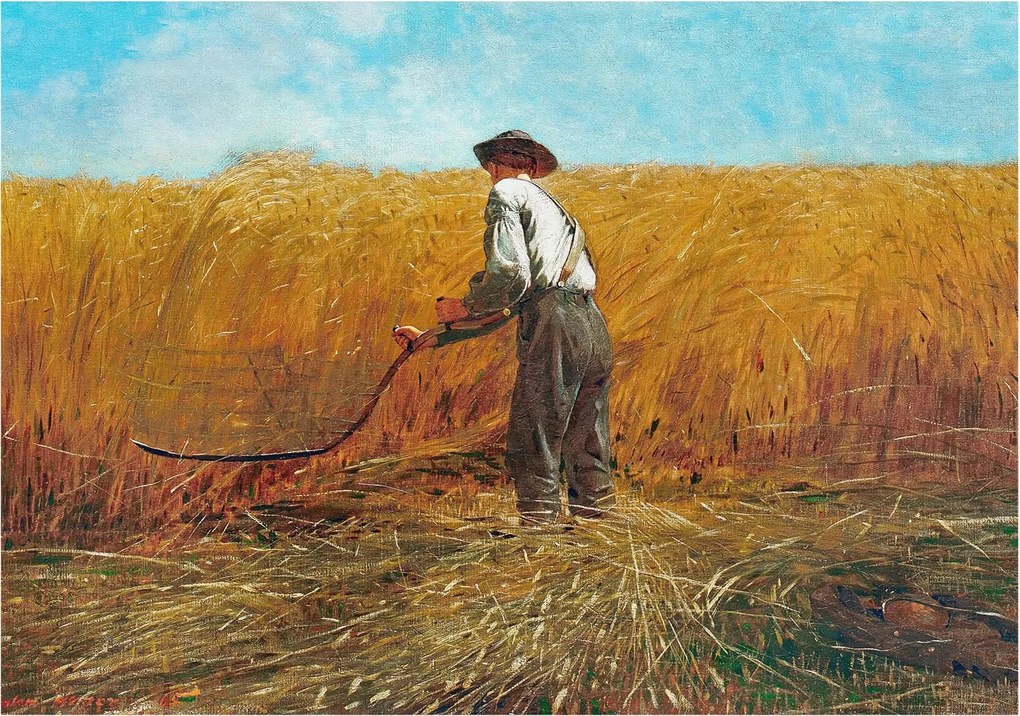 Flizelin fotótapéta Flizelin Design Aratás a napfényben 208x146