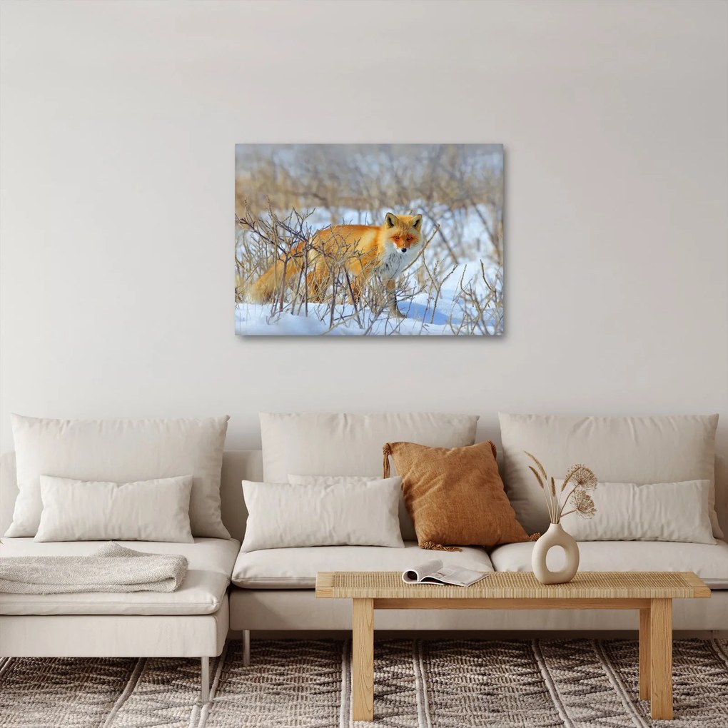 Kép - Róka (70x50 cm)