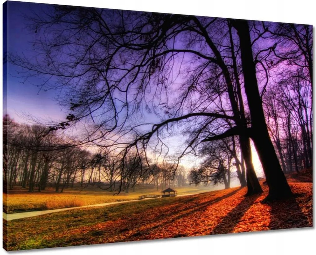 Vászonkép 70x50 Bajusz park