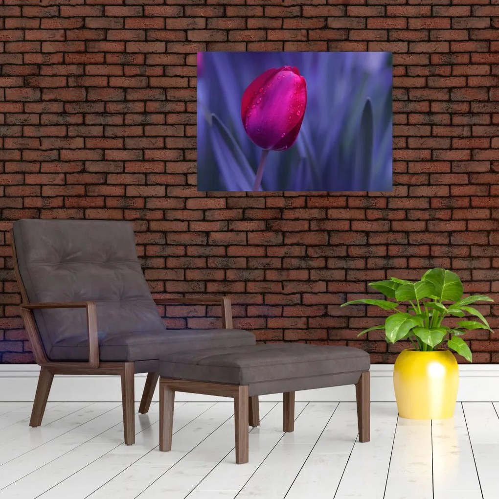 Tulipán bimbó képe (70x50 cm)