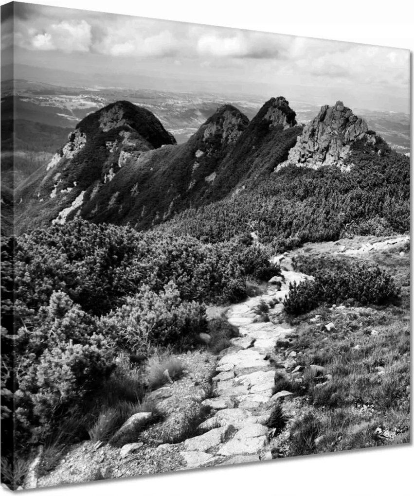 Vászonkép 30x30 Tátra Lengyel hegyek Kilátás