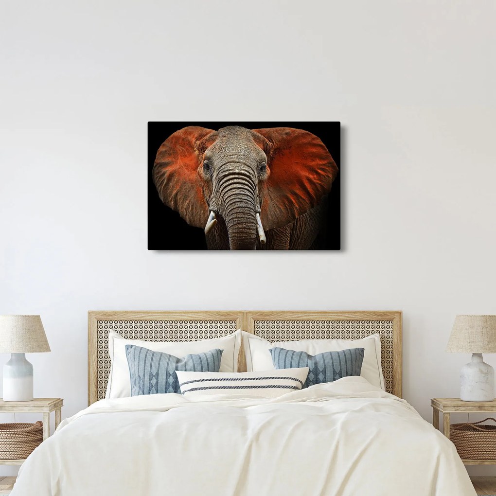 Kép - Elefántok Tsavóval (90x60 cm)