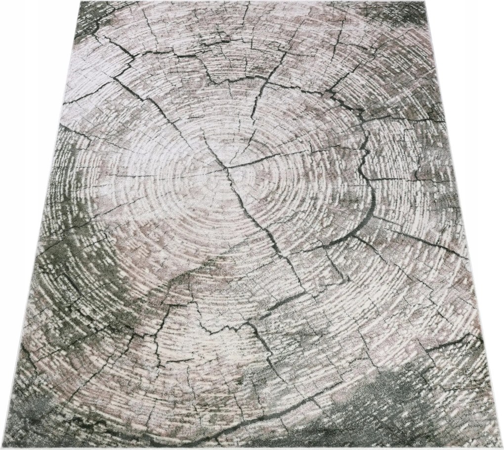 Komo Szőnyeg 120x170 Stílusos Modern fényes bézs zöld w21