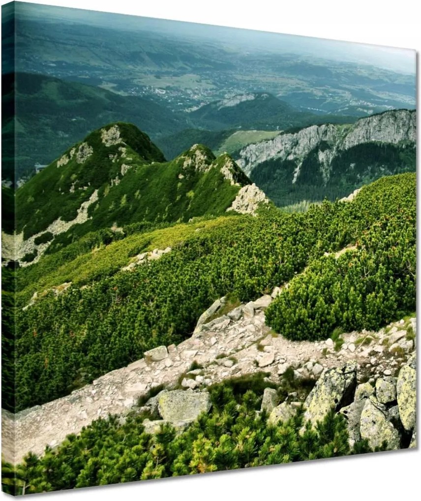 Vászonkép 30x30 Tátra Lengyel hegyek Kilátás