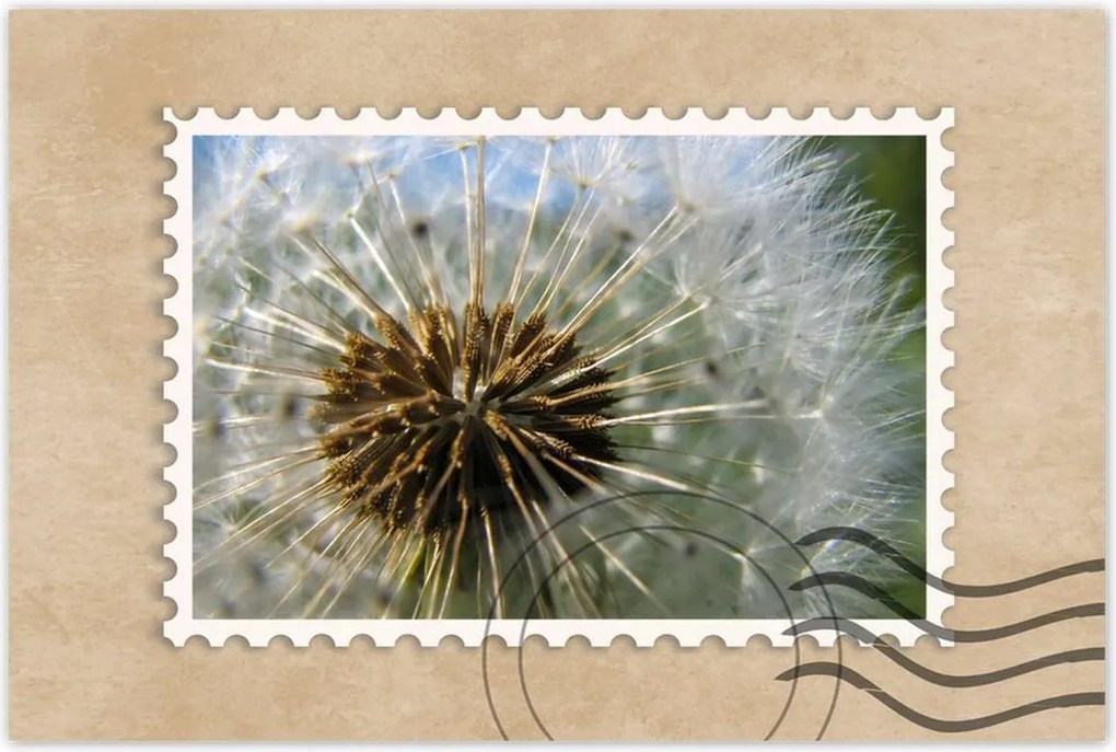 Poszterek 120x80 Pitypang Virág Virágok