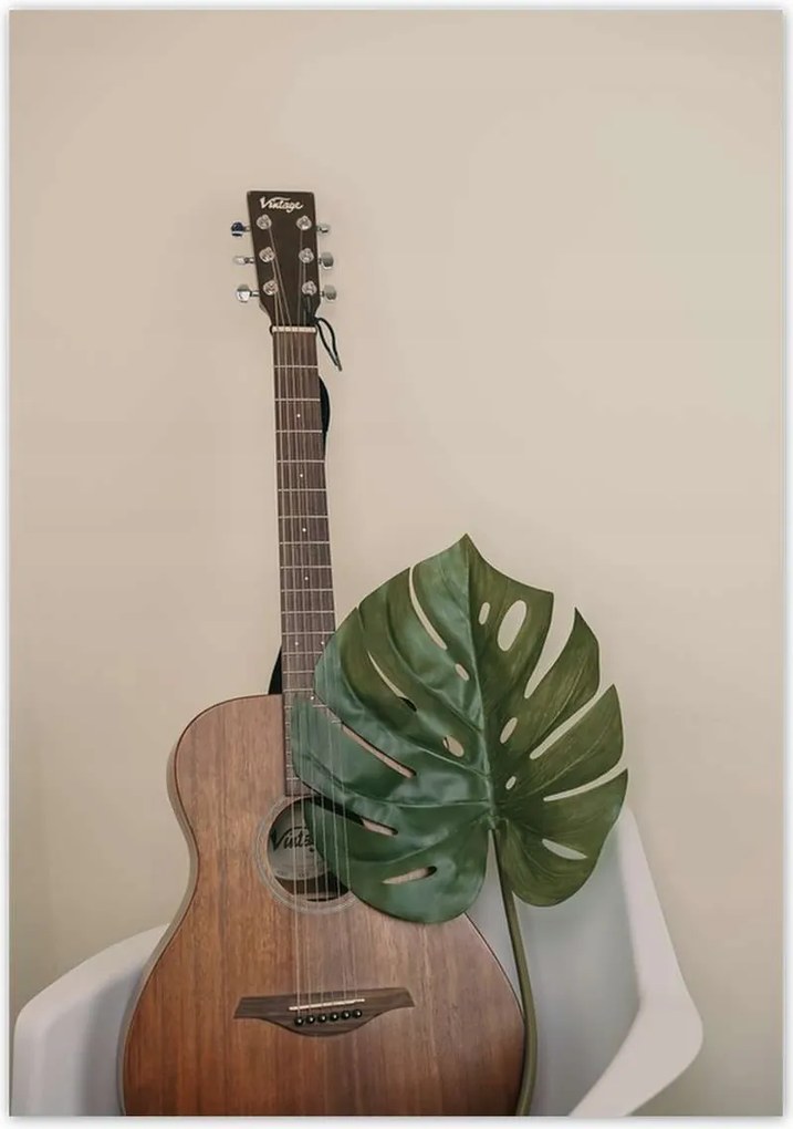 Poszterek 70x100 Mosnter levelek lyukas