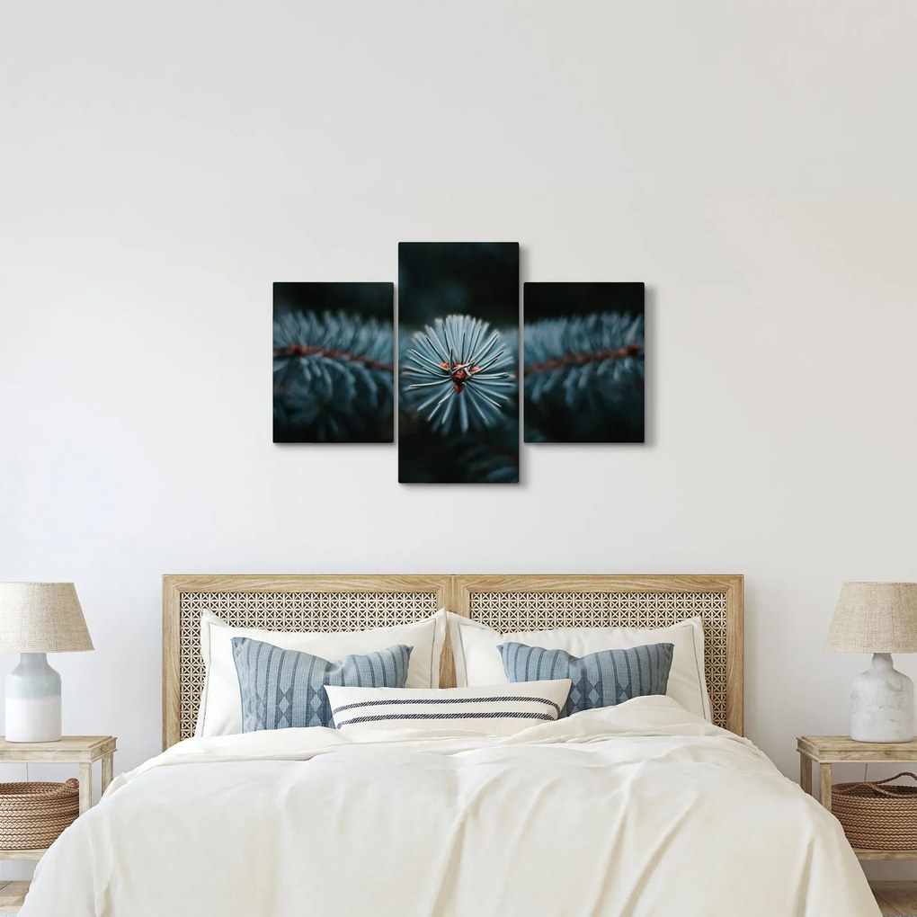 Egy tűlevelű fa gallyának képe (90x60 cm)