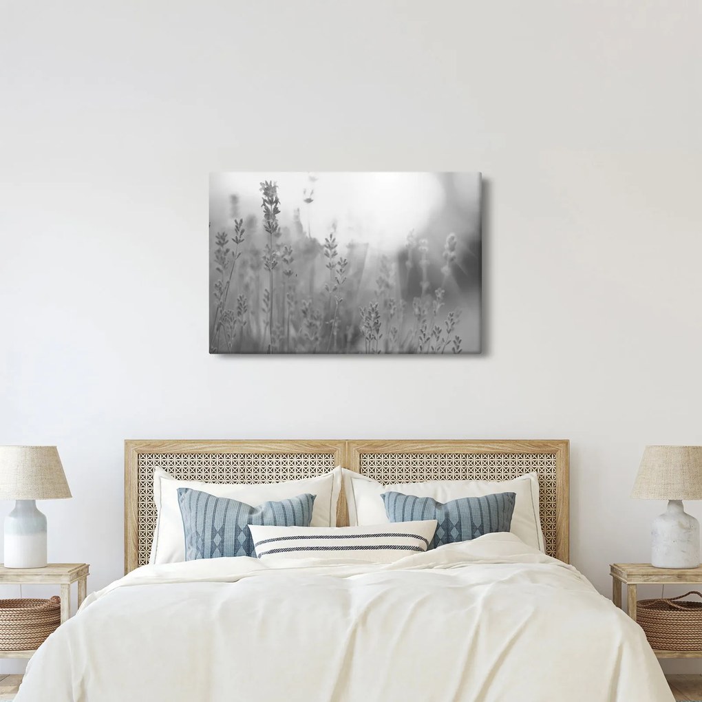 Kép - Levendula (90x60 cm)