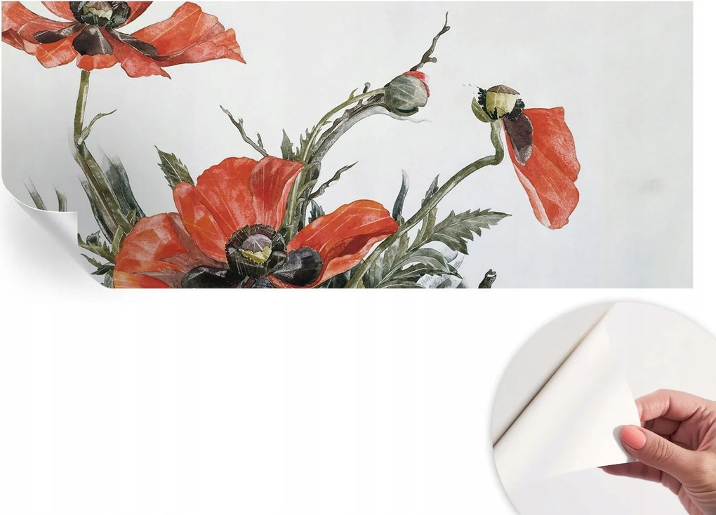 Öntapadós Dekoratív Fotótapéta Hálószobába Piros pipacs 250x104 cm