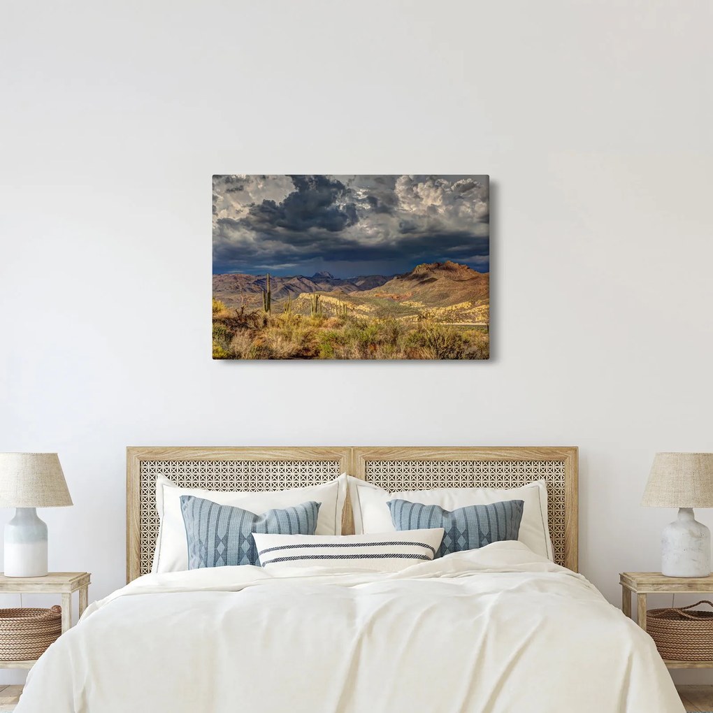 Kép - kaktuszok a természetben (90x60 cm)