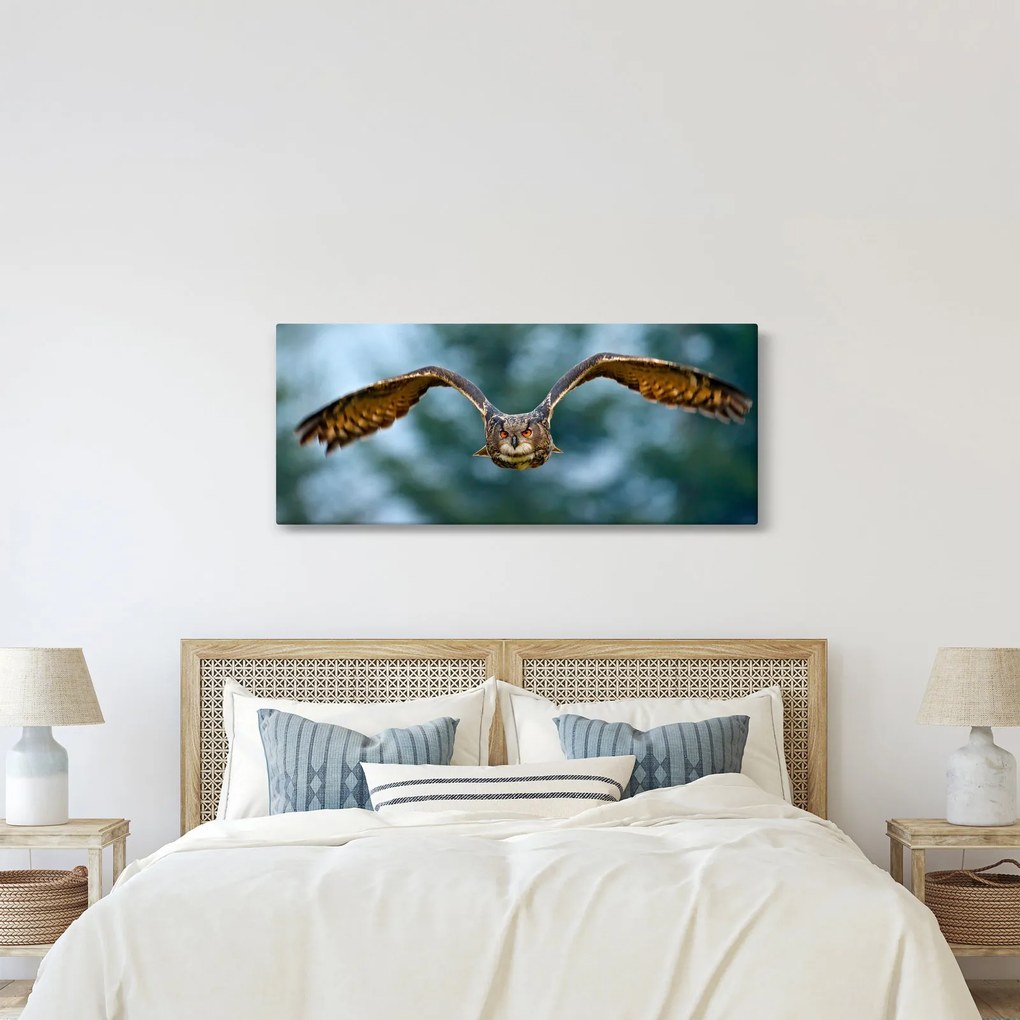 Kép - Bagoly repülés közben (120x50 cm)