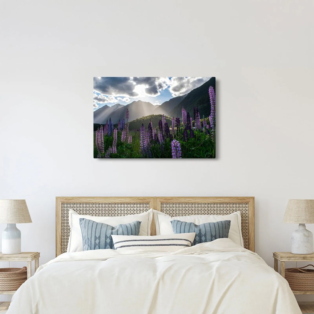 Kép - Csillagfürt táj (90x60 cm)