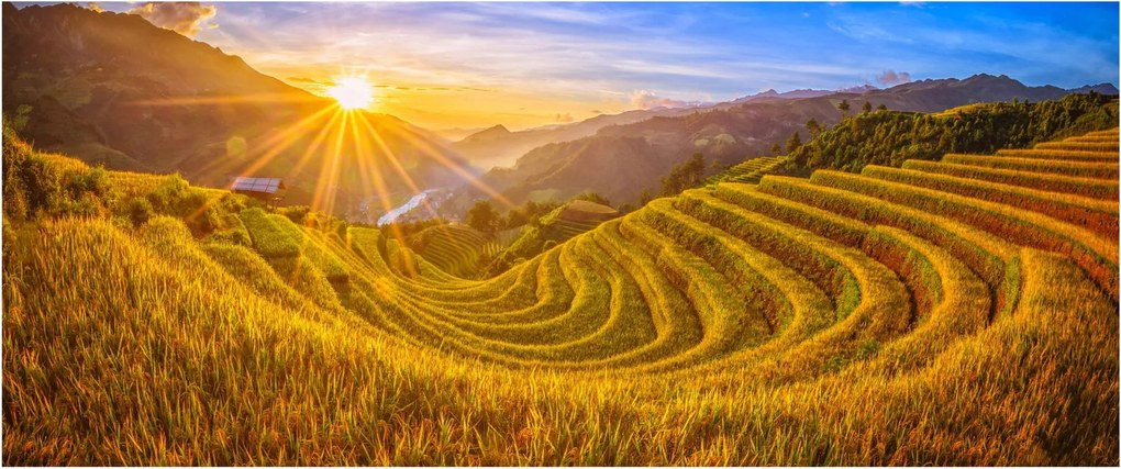 Kép - Rizs teraszok Vietnamban (120x50 cm)