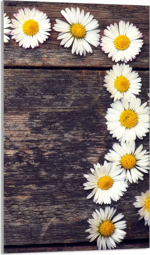 Üveg Vágódeszka 30x52 Fa Konyha