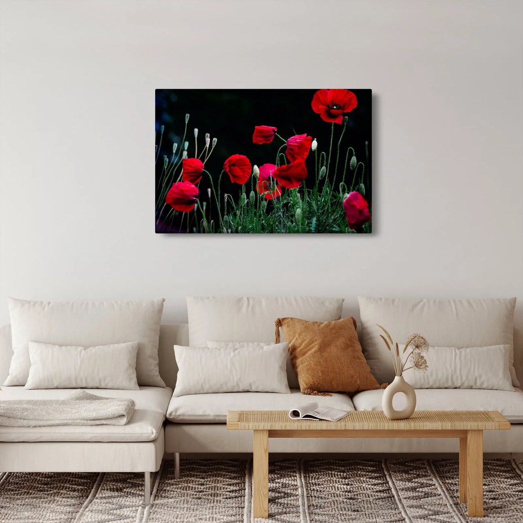 Kép - Pipacsok tánca (90x60 cm)
