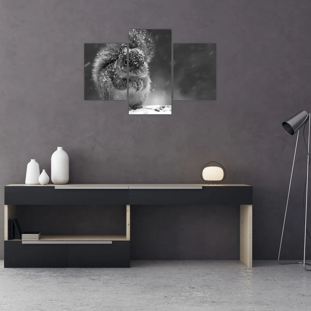 Kép - Mókus télen (90x60 cm)