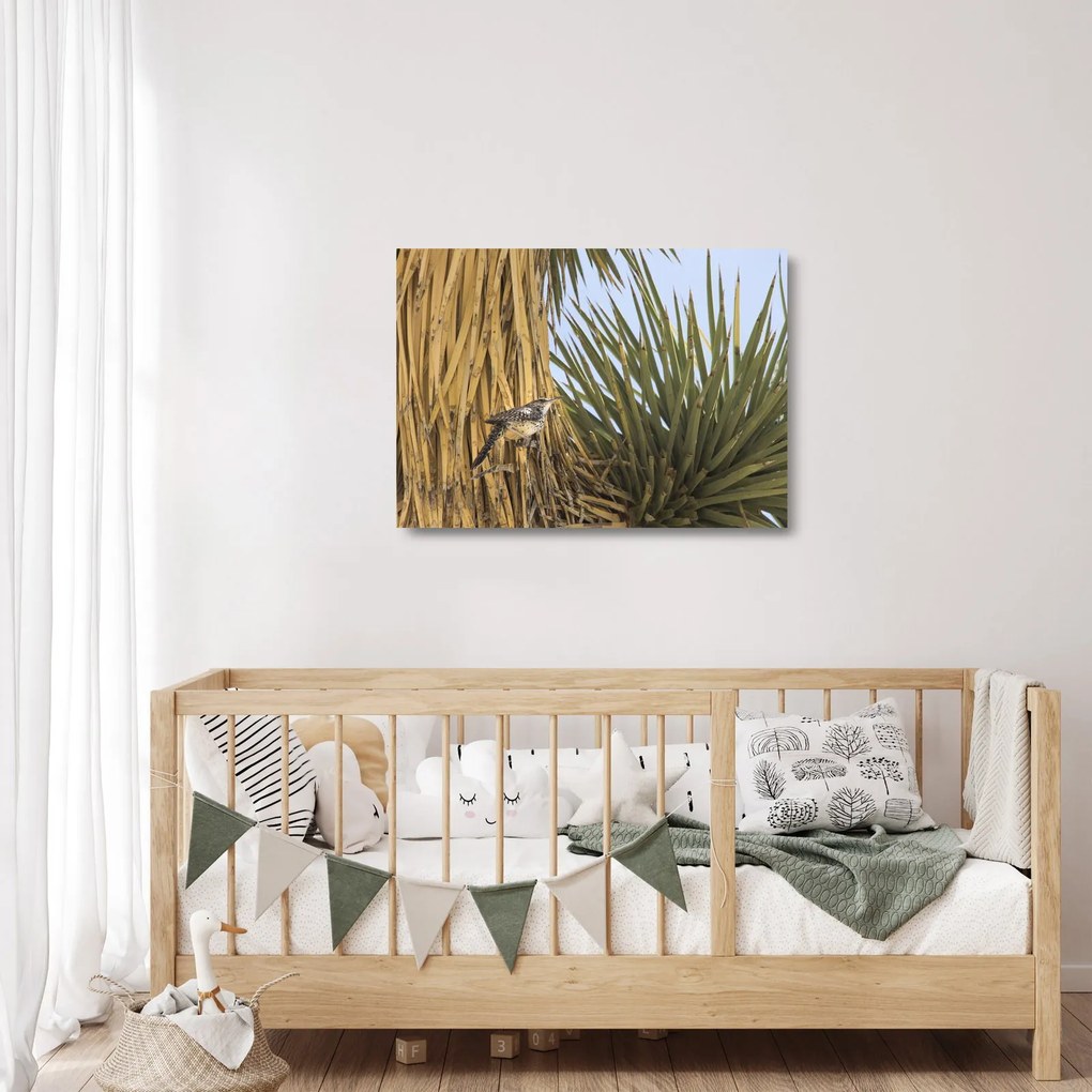 Kép - Ökörszem (üvegen) (70x50 cm)
