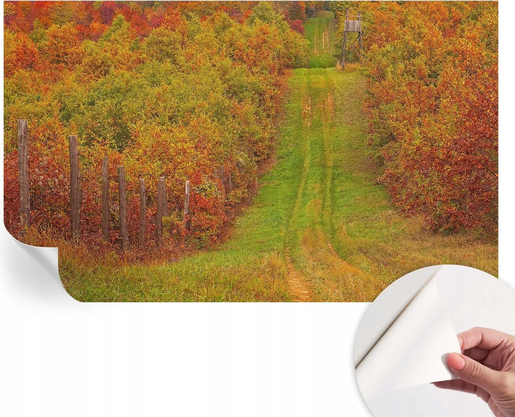 Modern öntapadós fotótapéta Mosható Őszi színek 416x254 cm