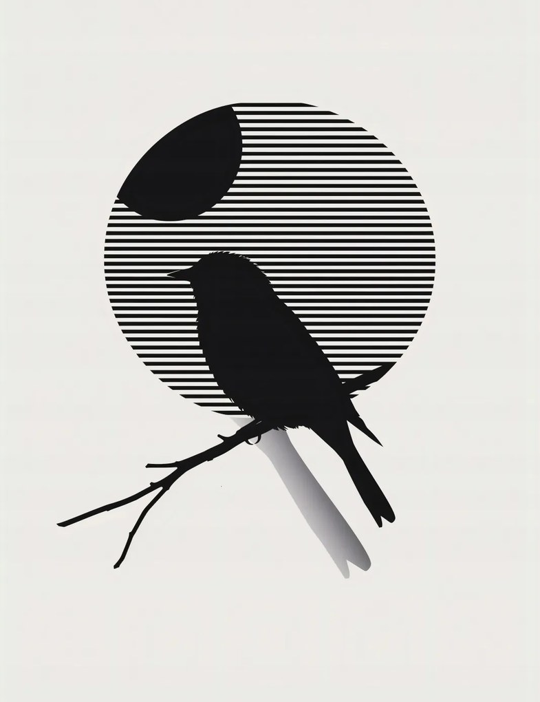 Poszter 50x65cm Kontraszt Karcsúság