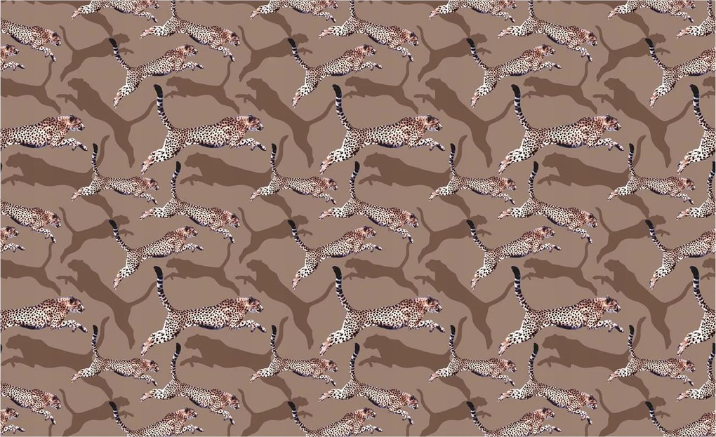 Fotótapéta Gepárd Safari állat print dinamika árnyékok 368x254 +ragasztó