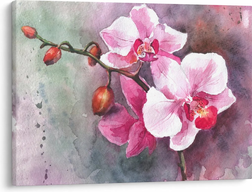 Kép - Orchideák, akvarell (70x50 cm)