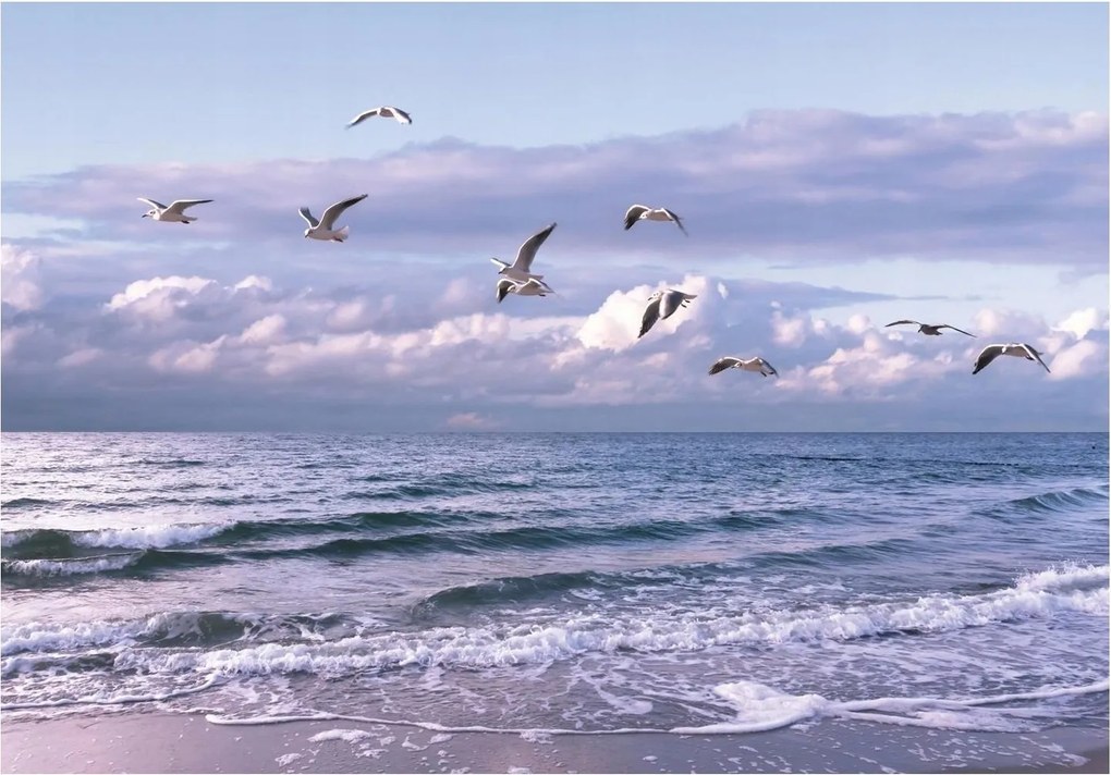 Fotótapéta Sirályok Tenger Fotótapéta Falra 254 x 184