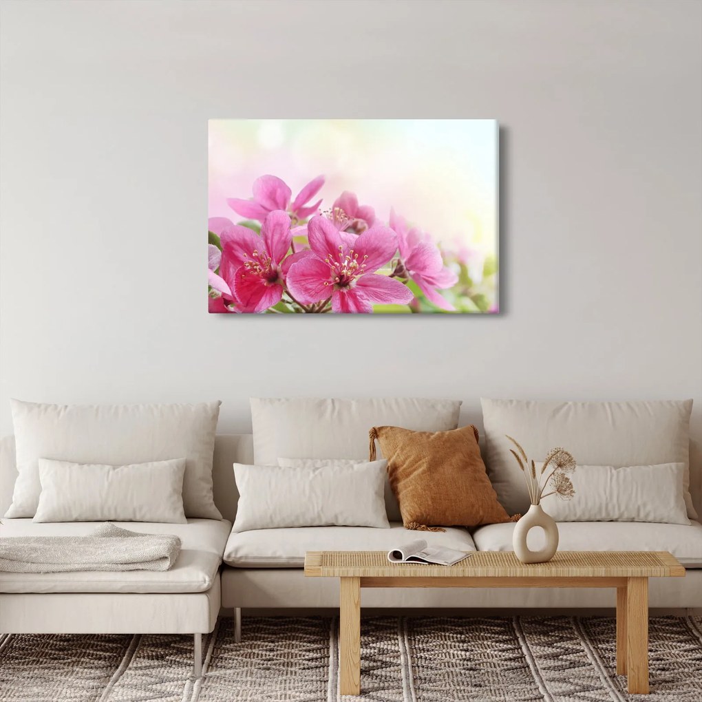 Kép - Rózsaszín virágok (90x60 cm)