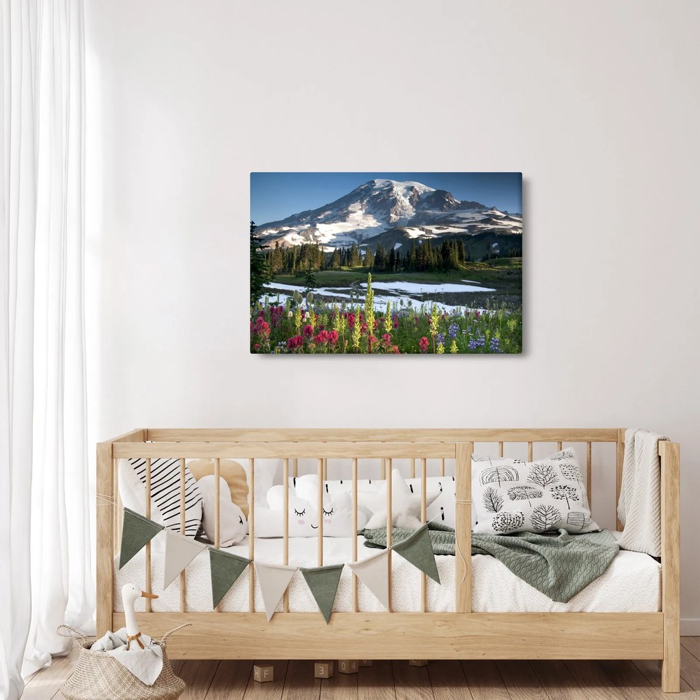 Kép - Mount Rainier (90x60 cm)