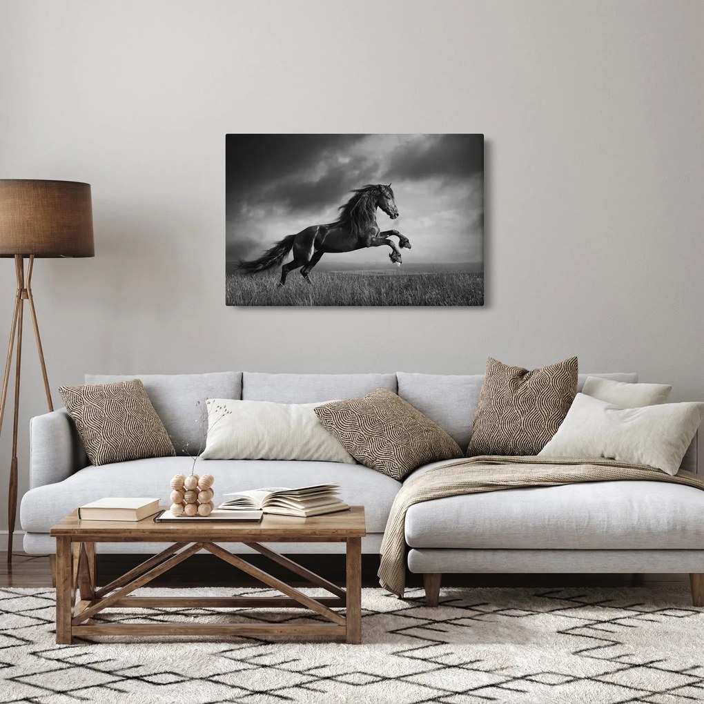 Kép - Fekete-fehér ló (90x60 cm)
