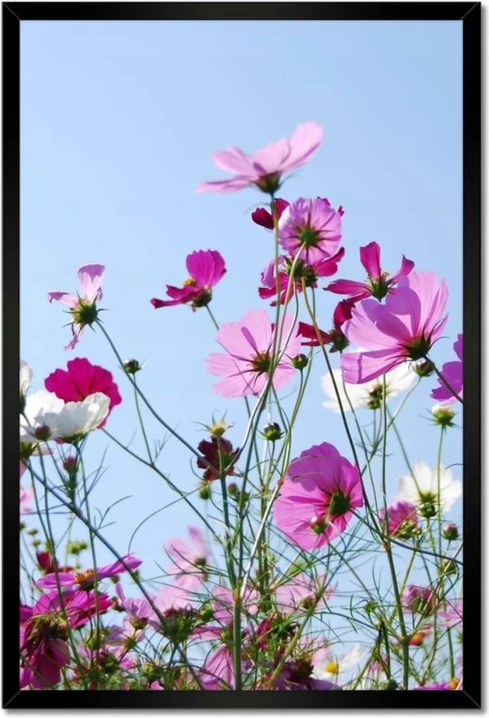 Poszterek keretben 40x60 Rét virágokkal