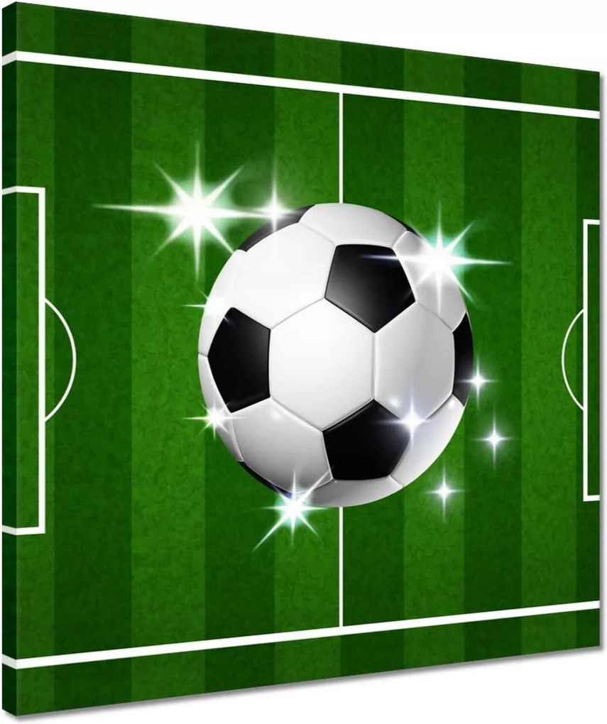 Vászonkép 40x40 Focipálya Labda