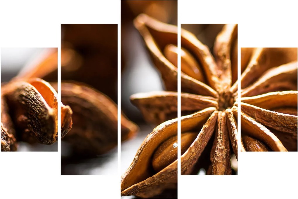 Kép - Anise (150x105 cm)