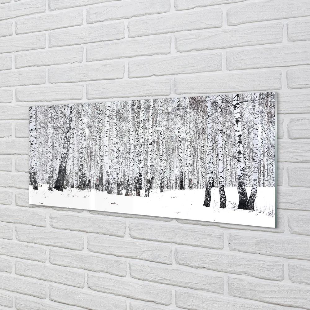 Üvegképek Téli nyírfák 120x60cm